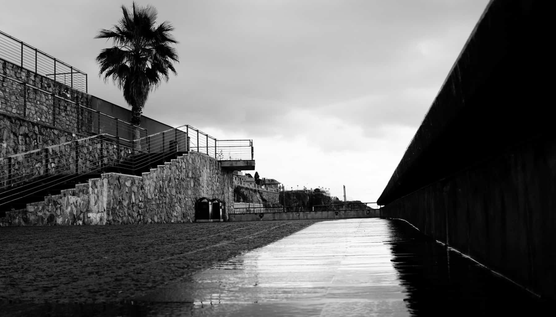 Landscape | 2020-01 | Rainy Day, Genova Quarto | giovannipasiniphoto.com