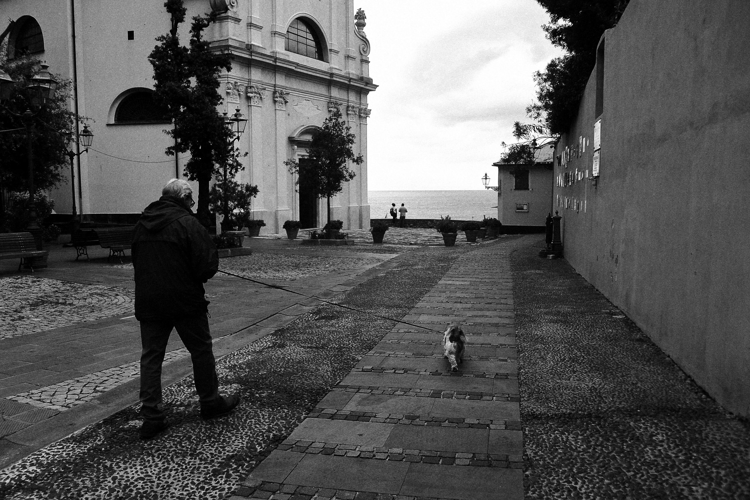 Landscape | 2020-04 | Dog, Bogliasco | giovannipasiniphoto.com