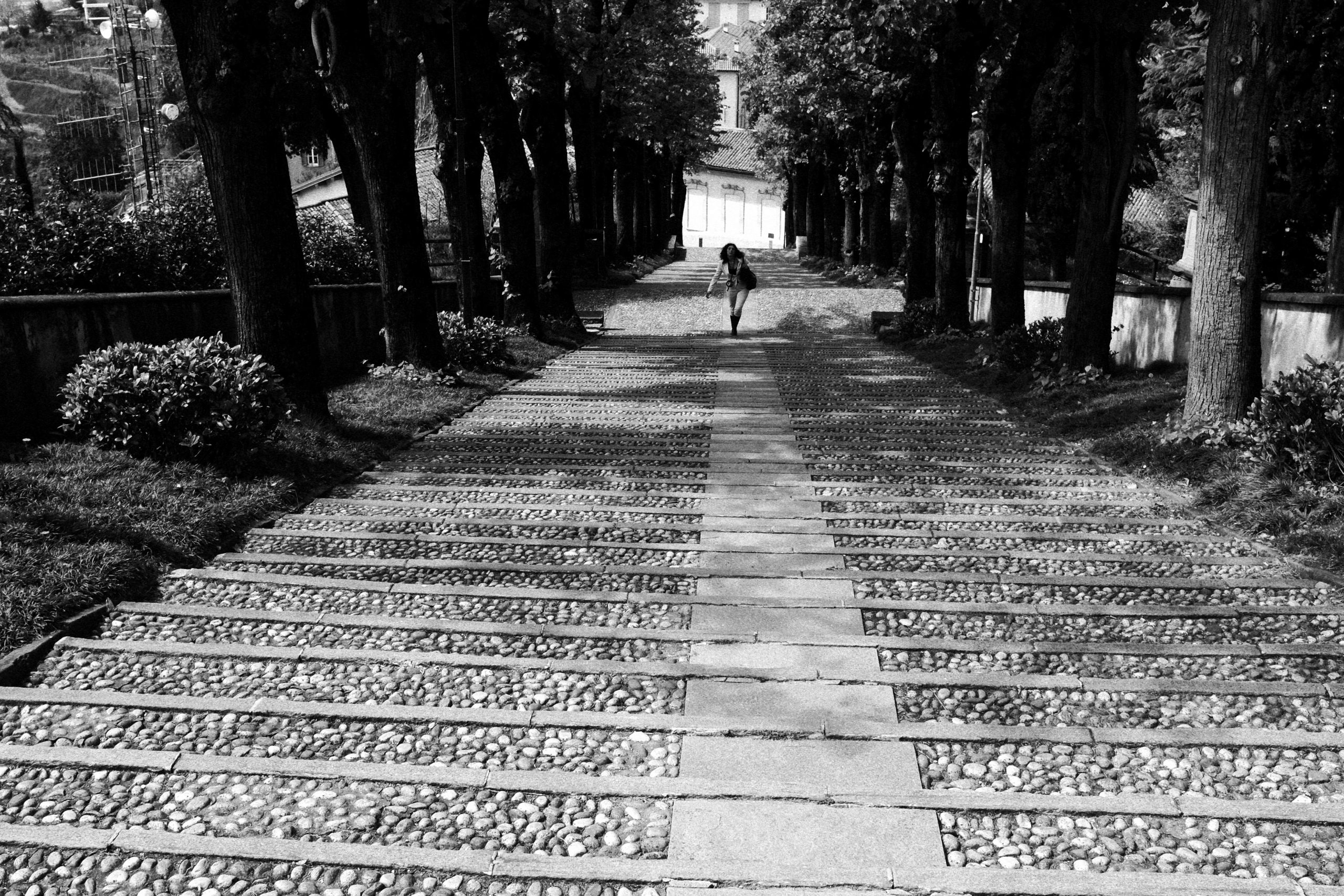 Landscape | 2020-05 | Stairs, Montevecchia | giovannipasiniphoto.com