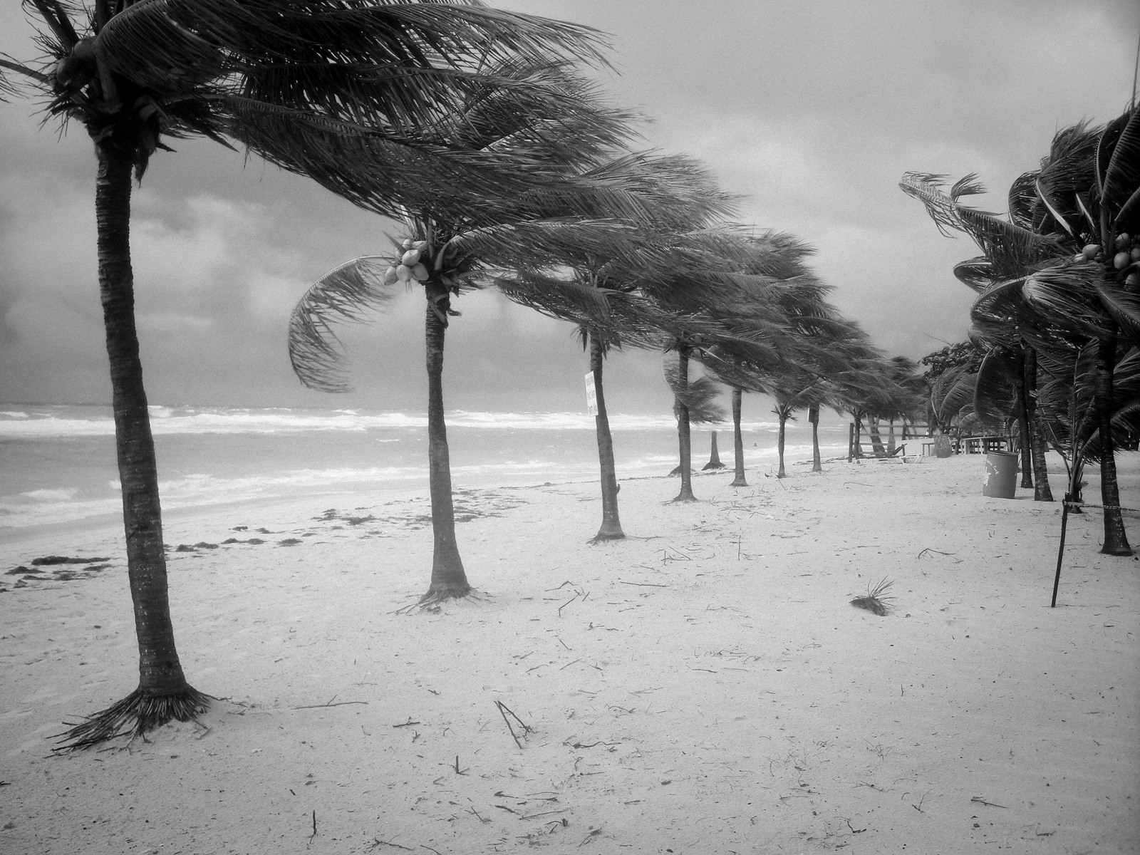 Landscape | 2021-01 | Tropical Storm, Roatan | giovannipasiniphoto.com