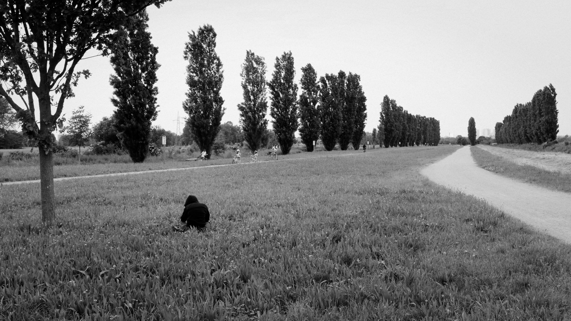 Landscapes | 2021-01 | Solitude (Chiaravalle) | giovannipasiniphoto.com