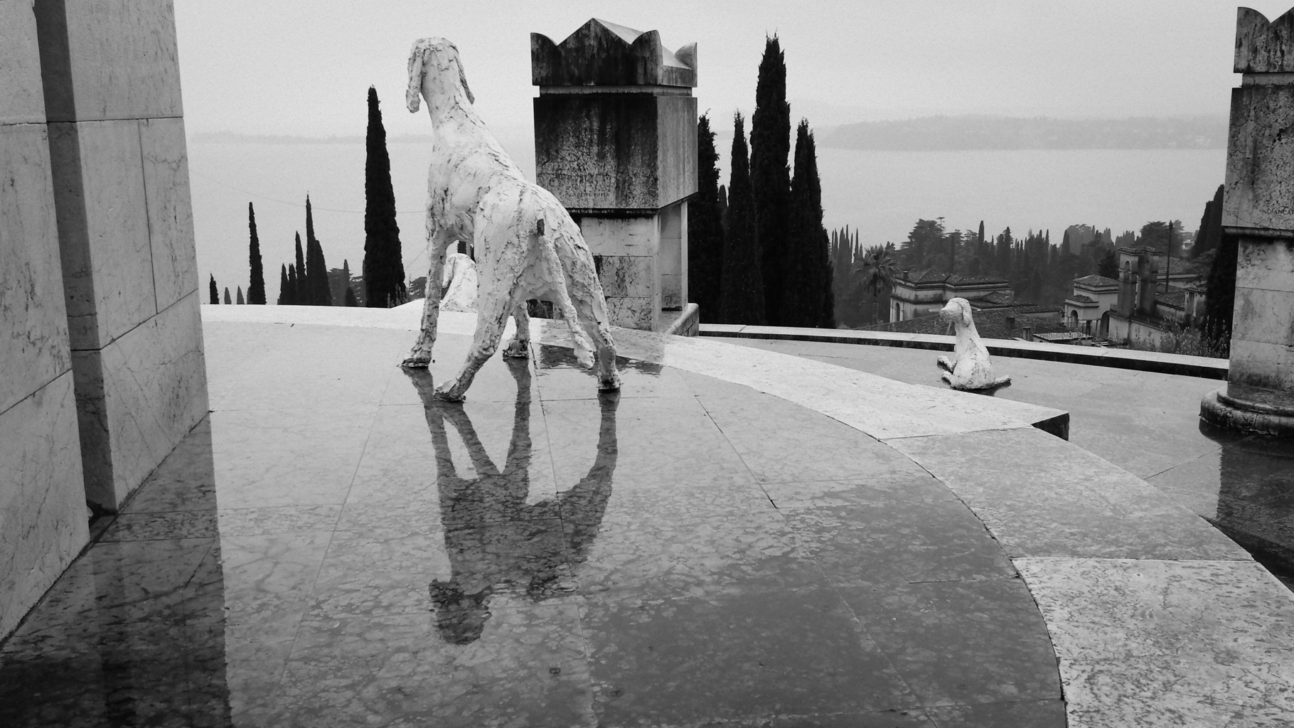 Landscape | 2021-01 | Dogs (Gardone Riviera) | giovannipasiniphoto.com