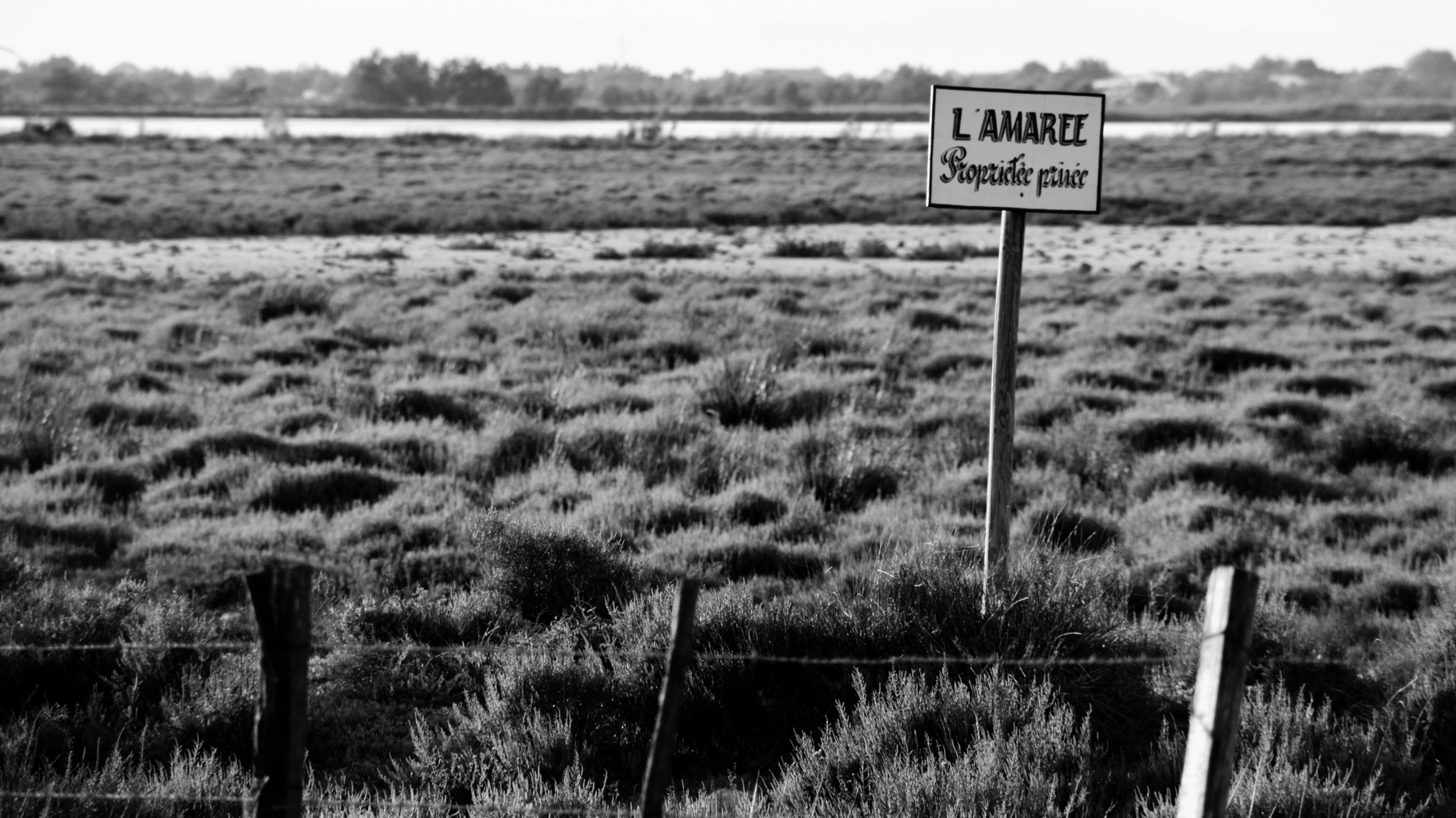 Landscape | 2021-01 | Etang (Les Saintes Maries de la Mer). | giovannipasiniphoto.com