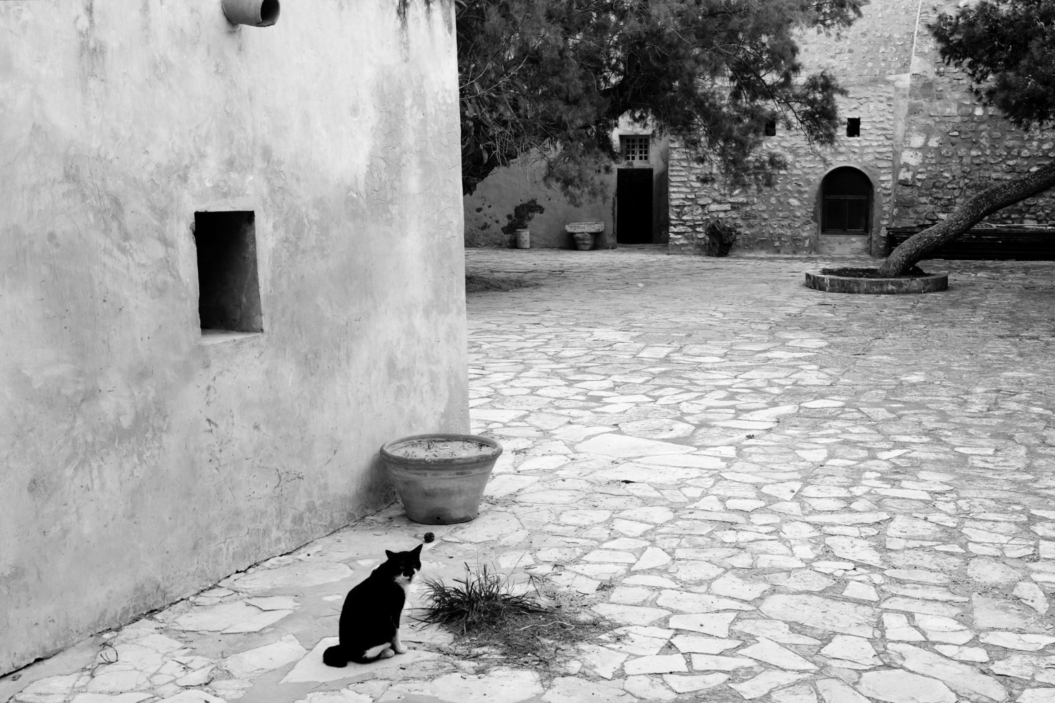 andscape | 2021-01 | Medina (Hammamet). | giovannipasiniphoto.com