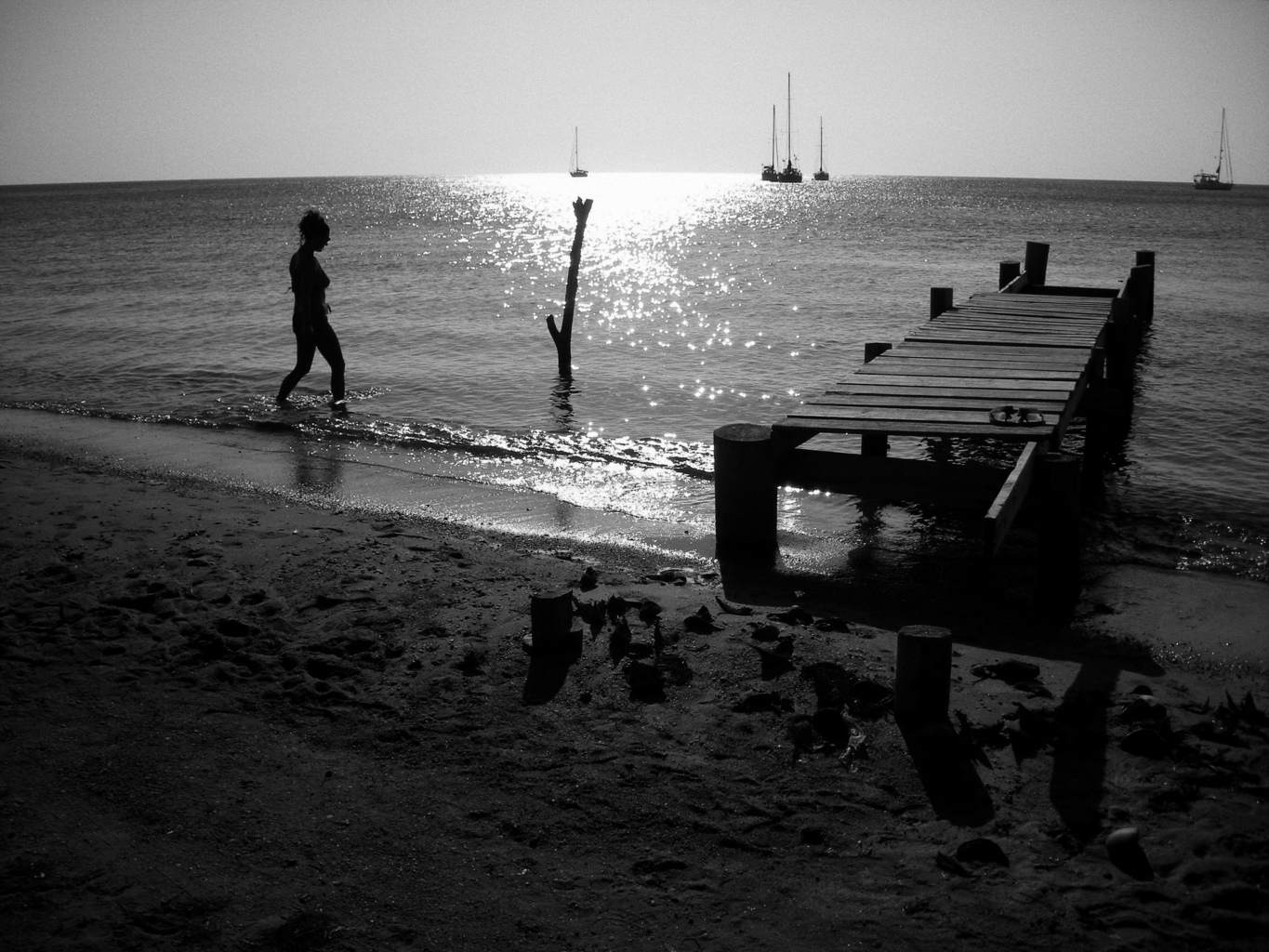 andscape | 2021-01 | Caribe (Roatan) | giovannipasiniphoto.com